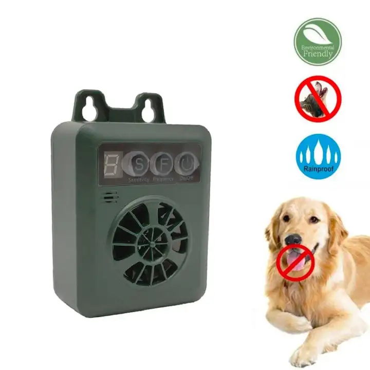 bark control for dogs