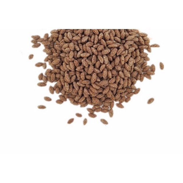 Crispy Bubble Rice Cocoa 1kg Lazada