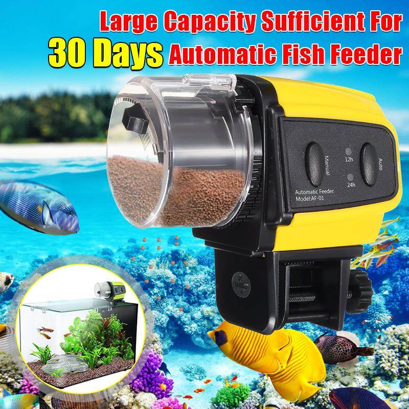 fish feeder for sale