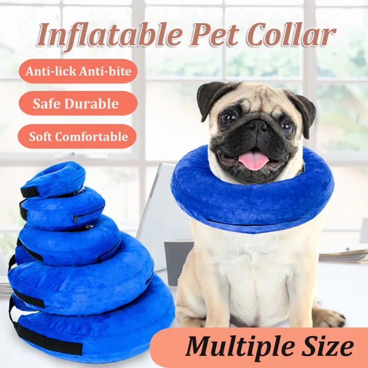 e collar for puppy biting