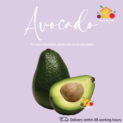 [PBS Pasar Borong Selayang Best Seller ] - Fresh Avocado / Buah Alpukat / 牛油果 (Ready Stock)