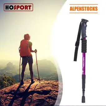 walking stick for mountain climbing