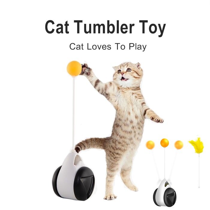chatter cat toy