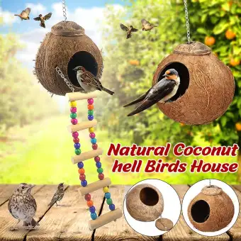 Polish No Polish With Ladder Bird Nest Natural Coconut Shell