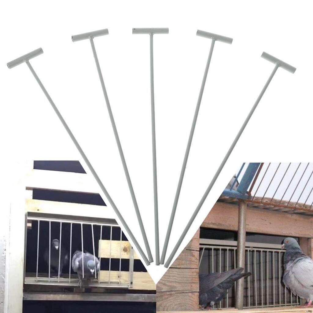 5pcs Bird Racing Pigeon Cage Door Stainless Steel Entrance Wire