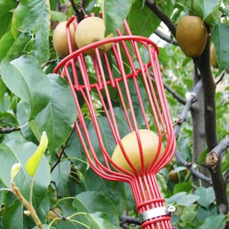 High-altitude telescopic fruit picking garden tools hardware tools fruit picker head fruit picker