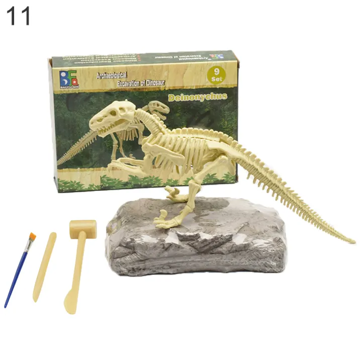 excavation dinosaur fossil kit