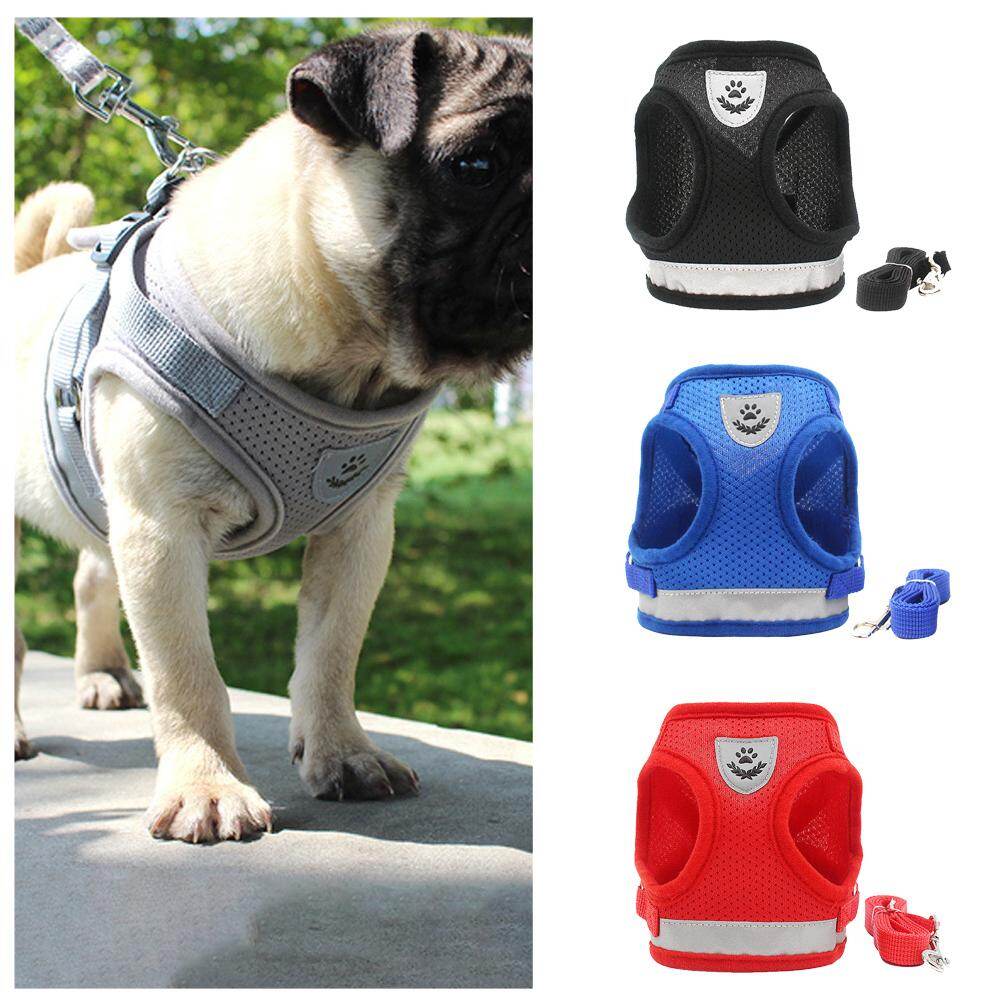 Dog Cat Harness Set Pet Adjustable Walking Reflective Vest with Leash Breathable Mesh Harness for Small Medium Dog