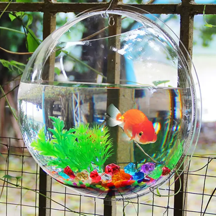 fish tank aquarium store