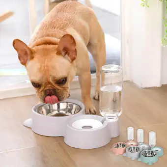 Pet Feeder Water Gray Dual Bowls Automatic Food Feeder Water