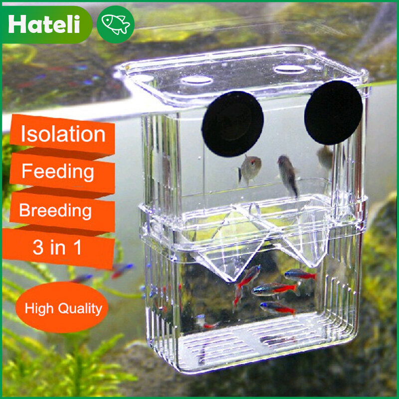 HATELI Hộp Nuôi Cá Bể Cá Hộp Nuôi Cách Ly Cá Bằng Nhựa Hộp Ấp Cho Cá Con Tôm Cá Hề Guppy