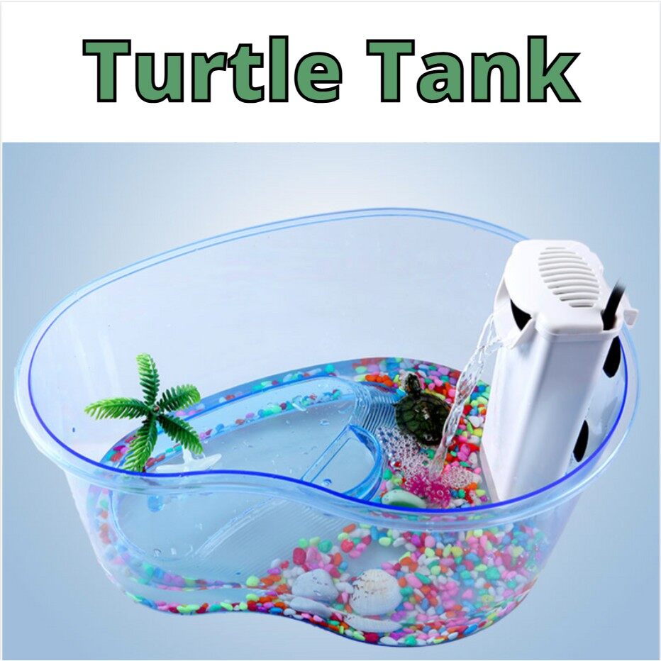 Malaysia Original Stock Reptile Turtle Tortoise Vivarium(Large size