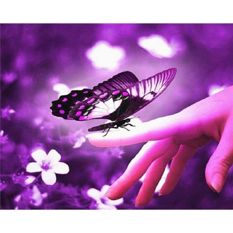 SDOYUNO Classic Painting By Numbers Hand Painting Canvas Painting Dream Butterfly Paintings Living Room Decoration