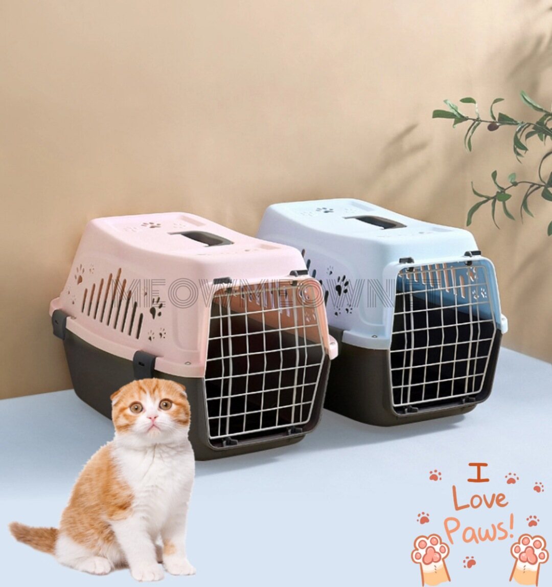 airline approved cat bag carrier