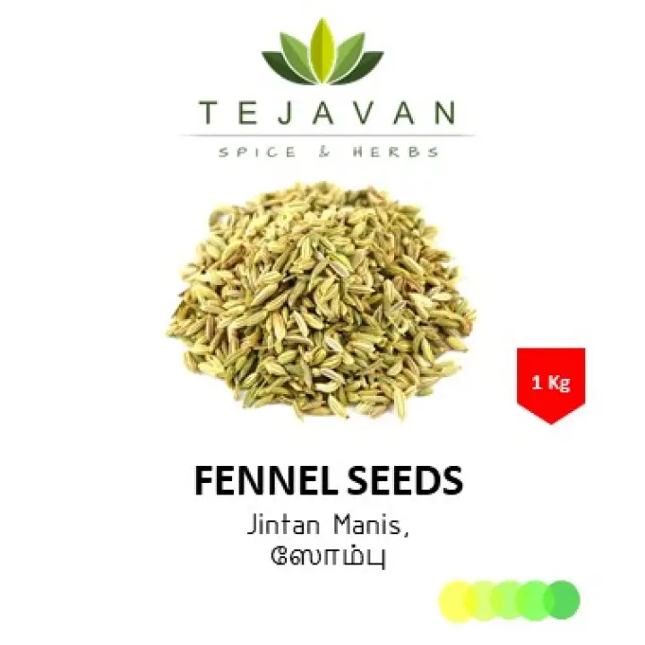 Fennel In Malay