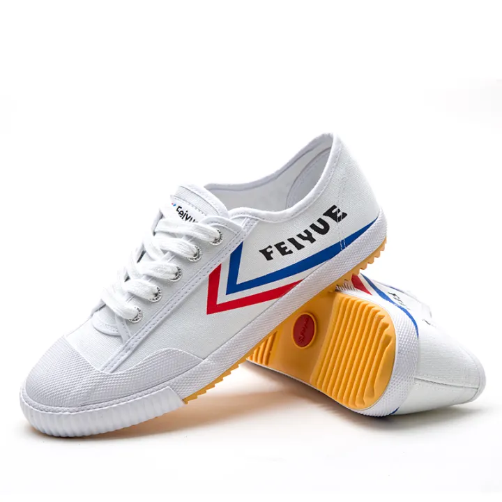 feiyue wushu shoes