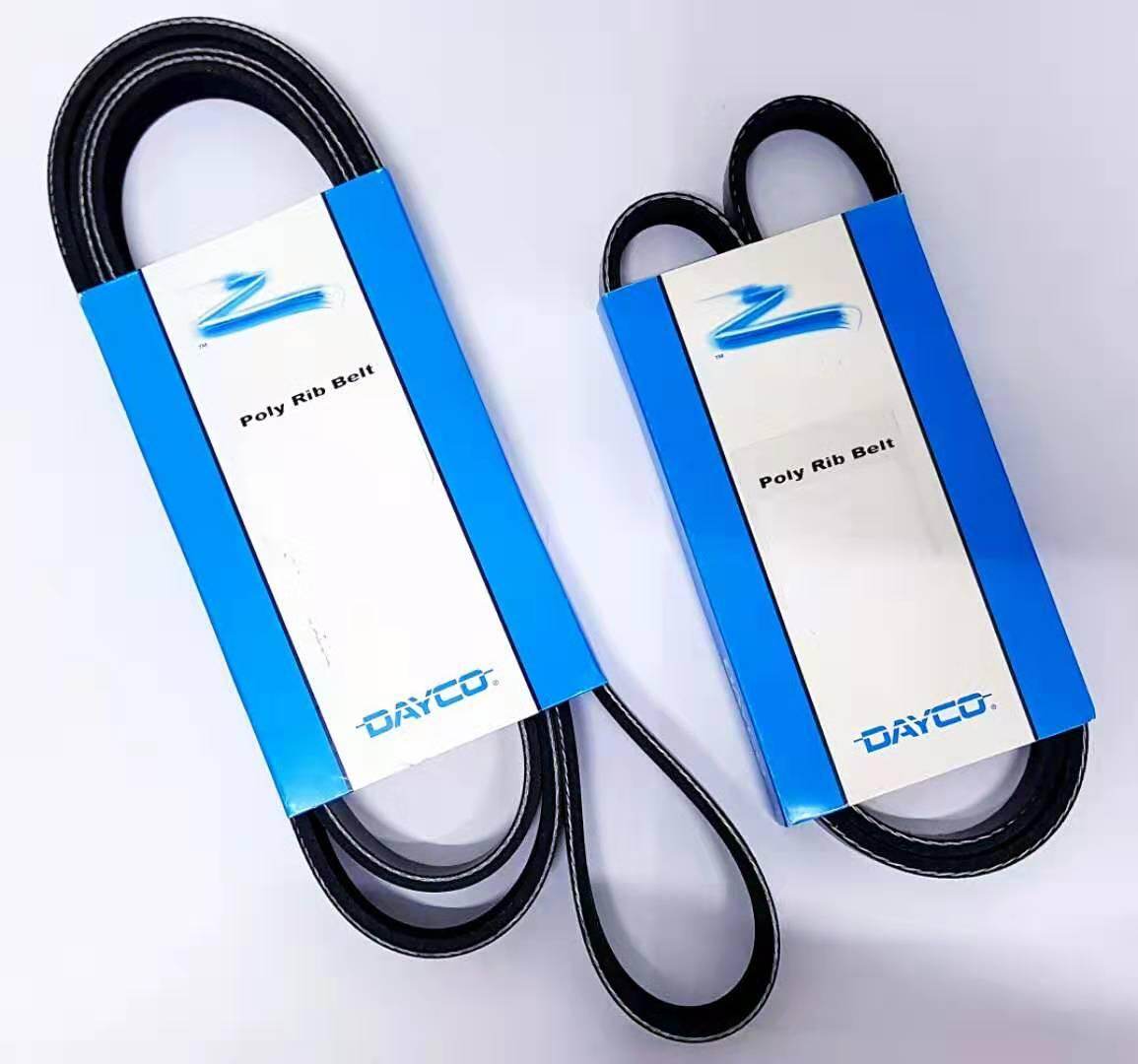 dayco poly rib belt