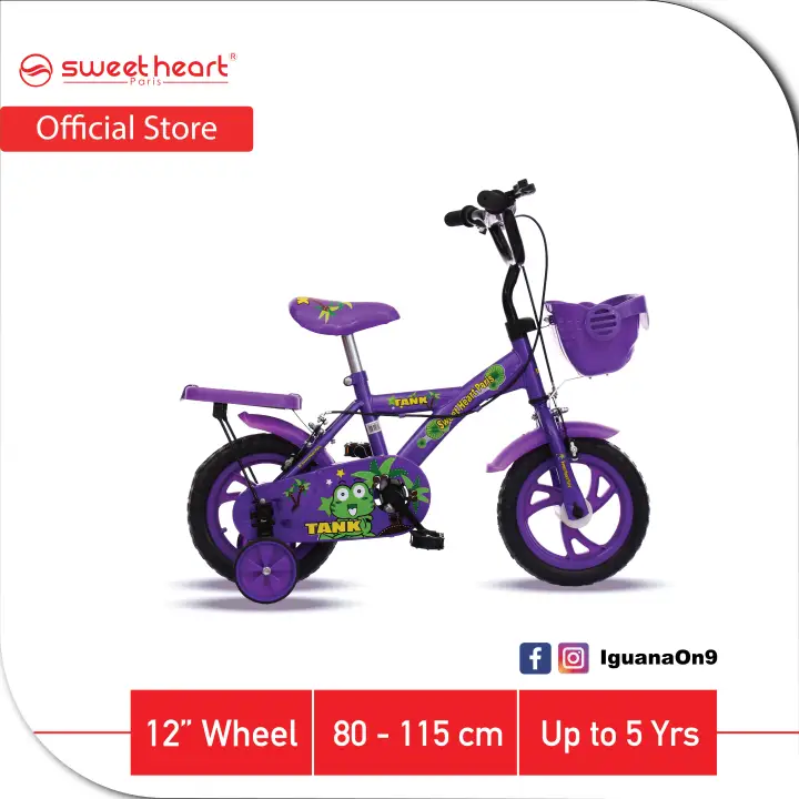 12 wheel bike age