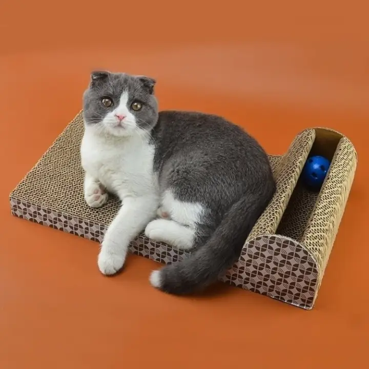 cat scratching box