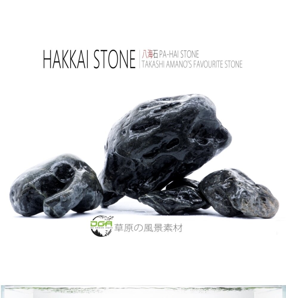 Aquascape JAPAN Hakkai Stone Amano stone(水草造景八海石） - Lazada