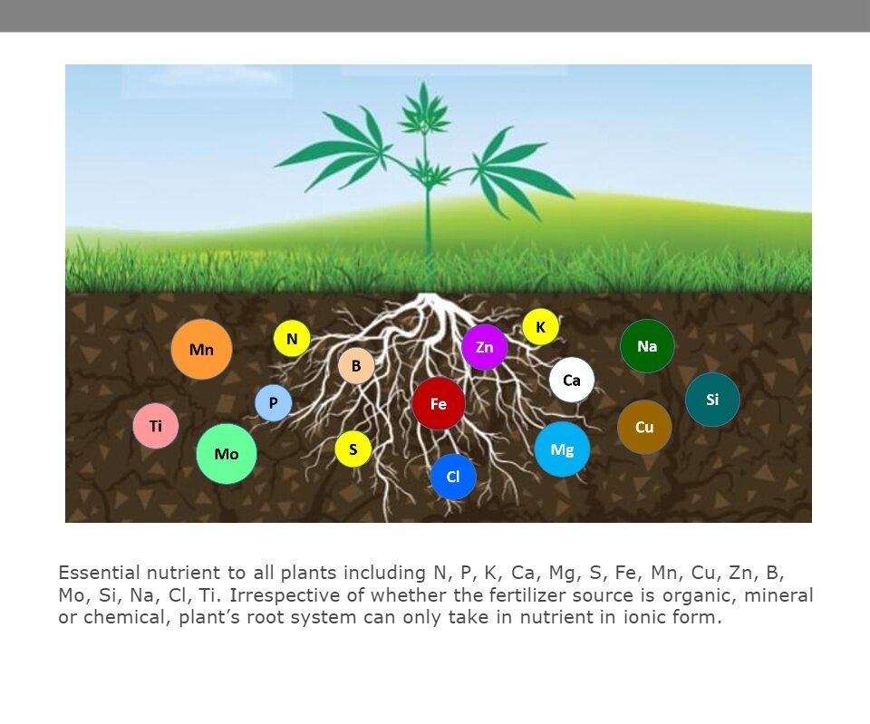 AGROSTAR AB NPK Concentrated Fertilizer Fortified with Fulvic Acids and