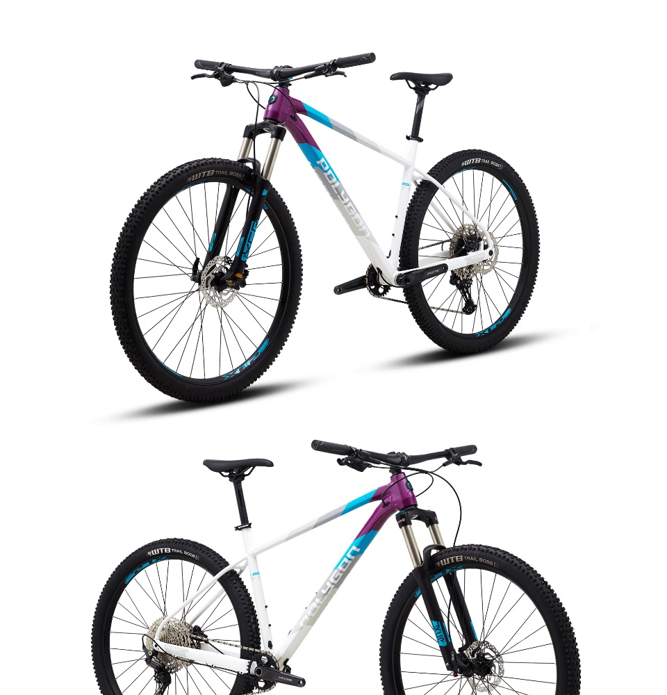 Polygon store xtrada 29er