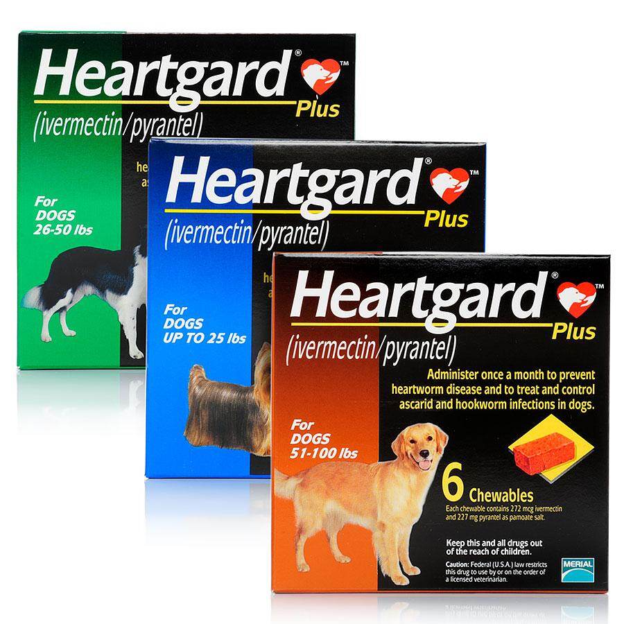 heartgard for dogs 25 lbs