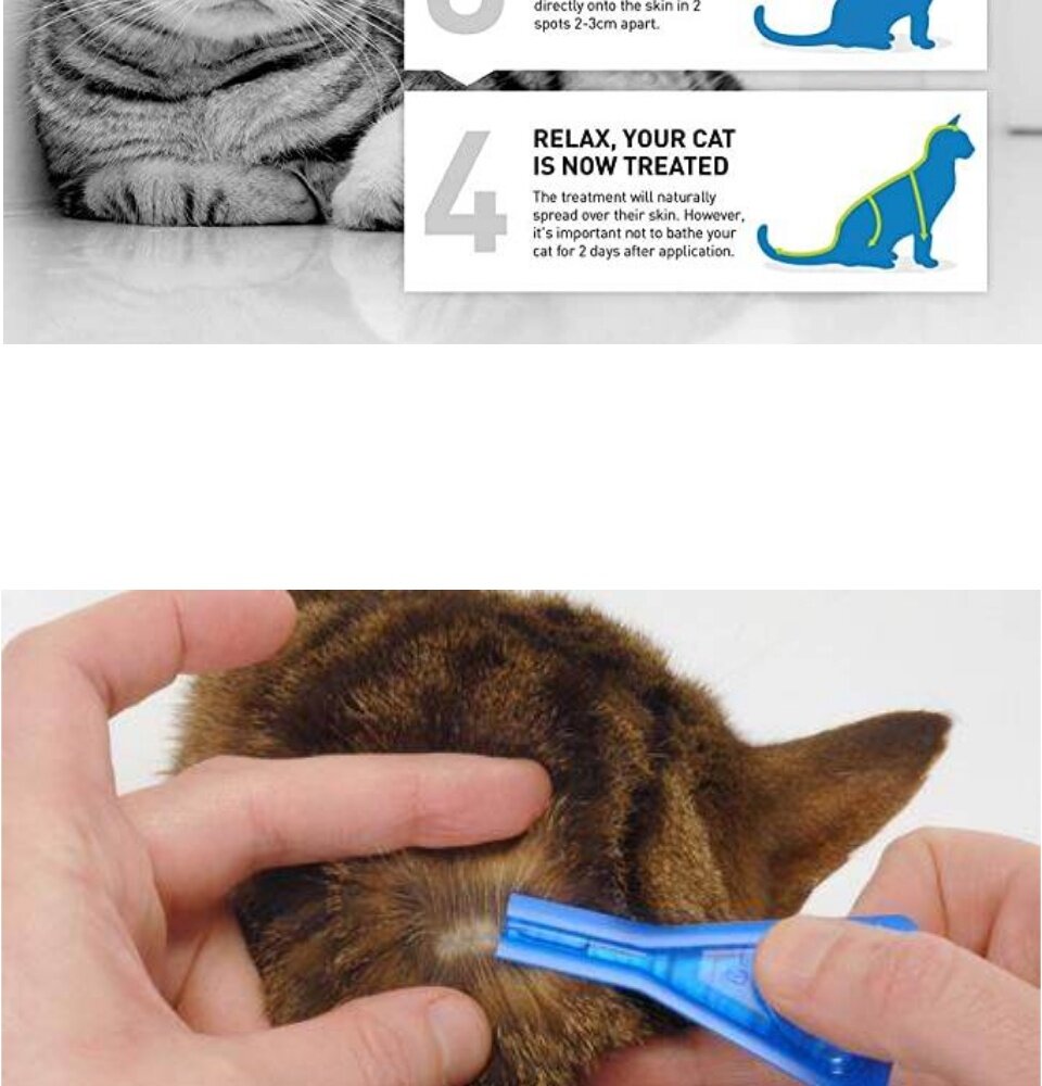 Frontline Combo Spot On Cat fleas ticks biting lice parasites control treatment ubat kutu kucing