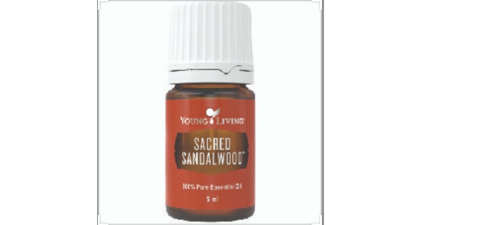 ヤングリビング Sacred Sandalwood 5ml Sacred Sandalwood Essential Oil | Young Living | Young Living