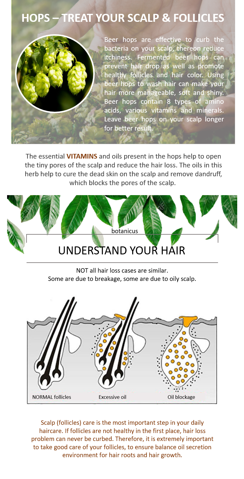 Botanicus Beer Hops Shampoo Hair Loss Flat Hair Oily Scalp