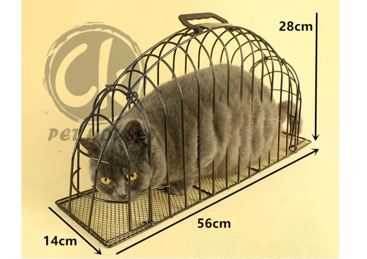 cat bathing cage