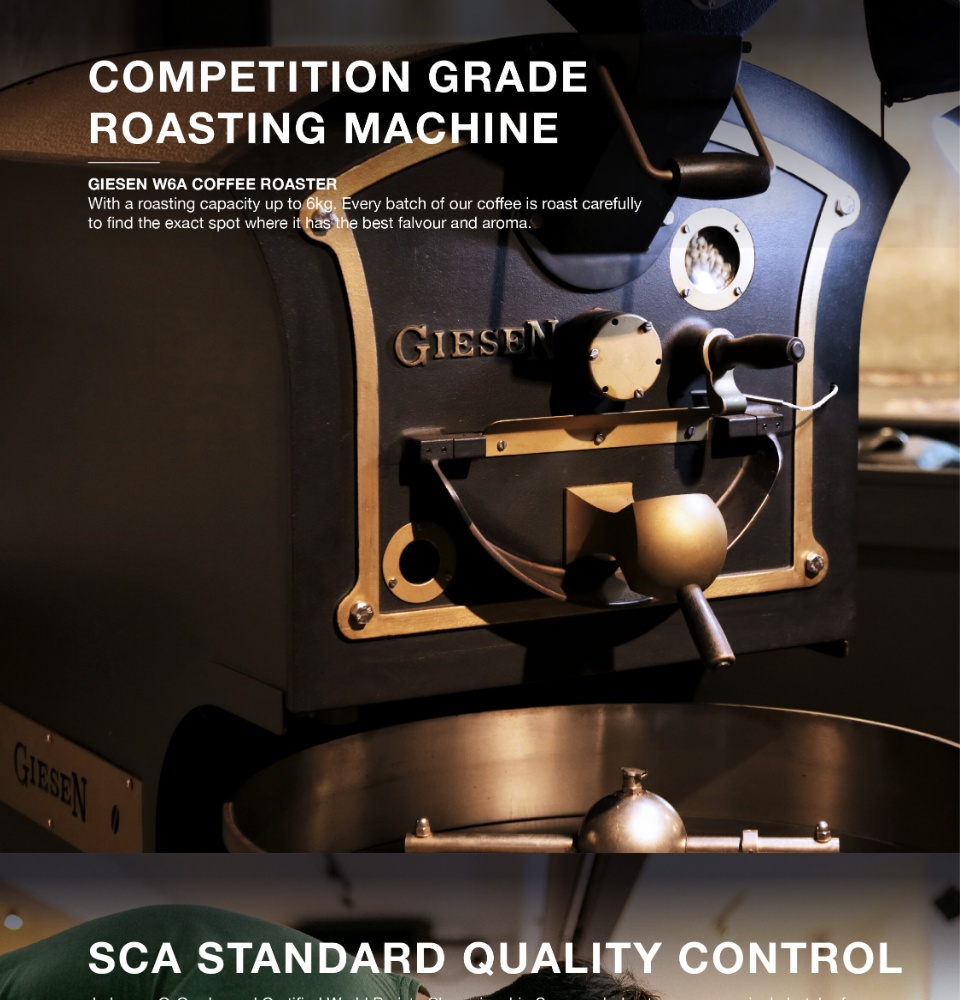 Brew Bread Dark Roast Whole Bean Coffee Cleanser (250gram per