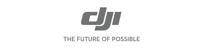 dji paradigm mall