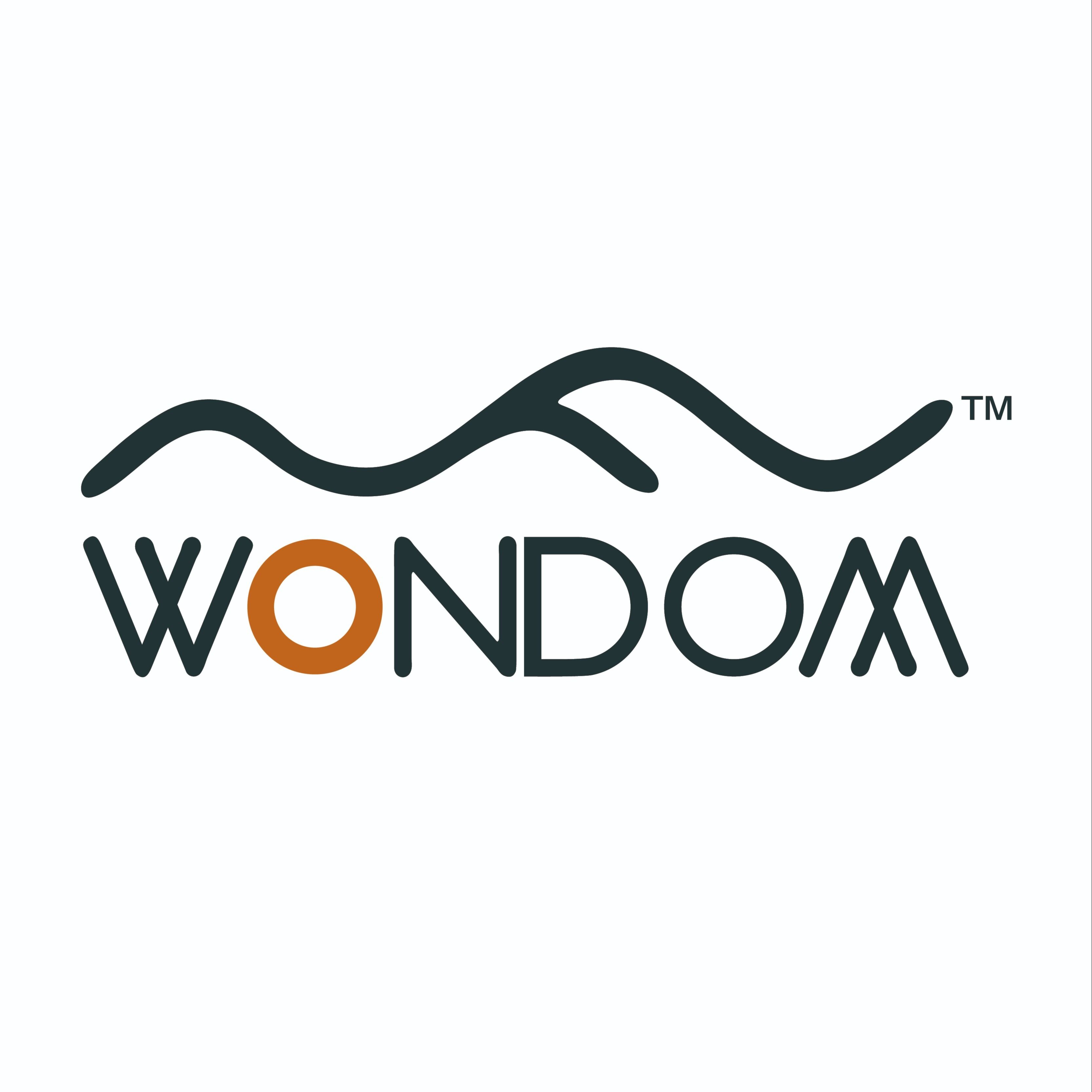 WONDOM Audio Malaysia Official Online Store | Shop Now on Lazada
