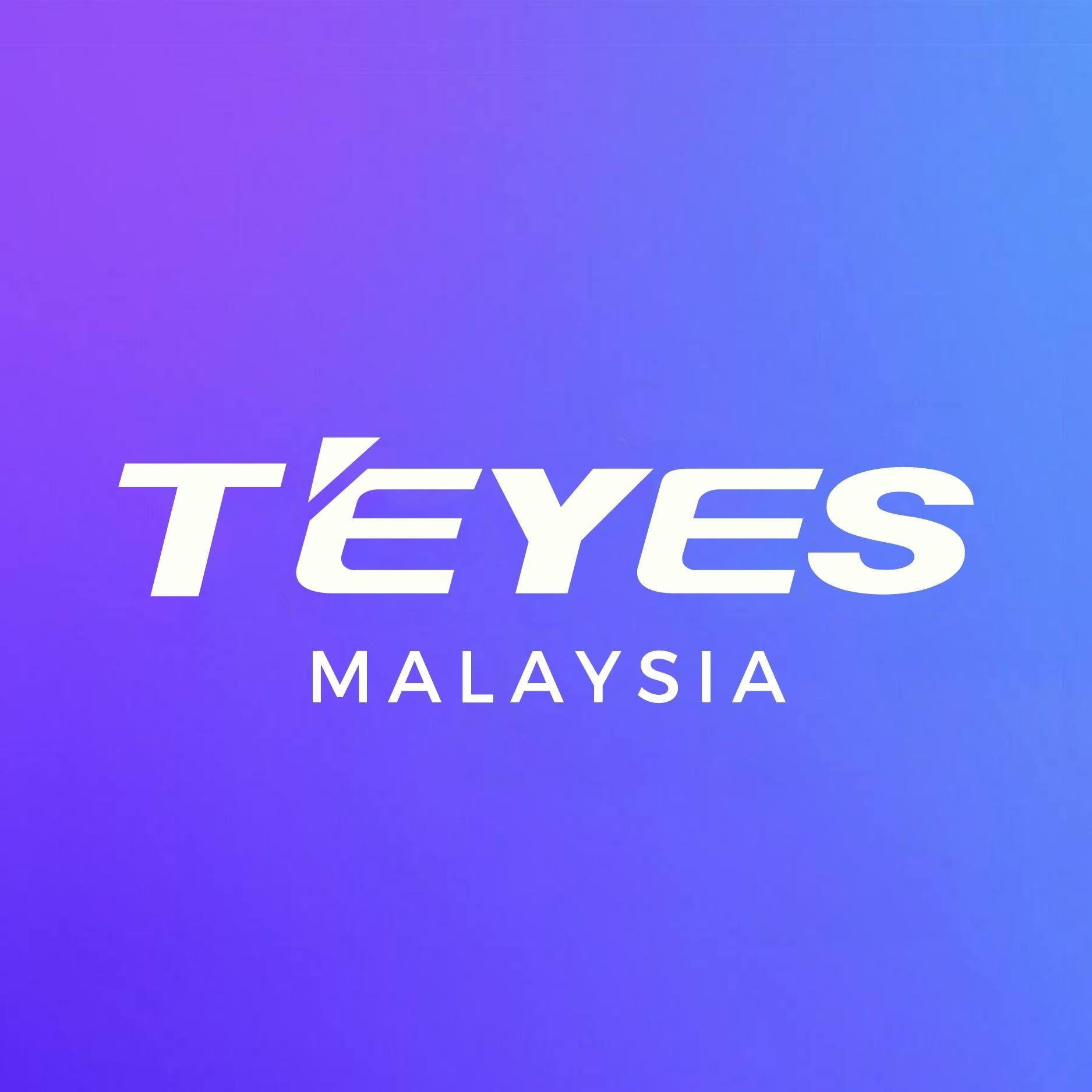 Teyes Pro 2 Купить