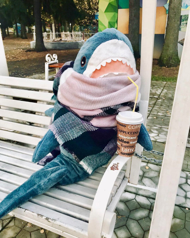 ikea blahaj shark soft toy