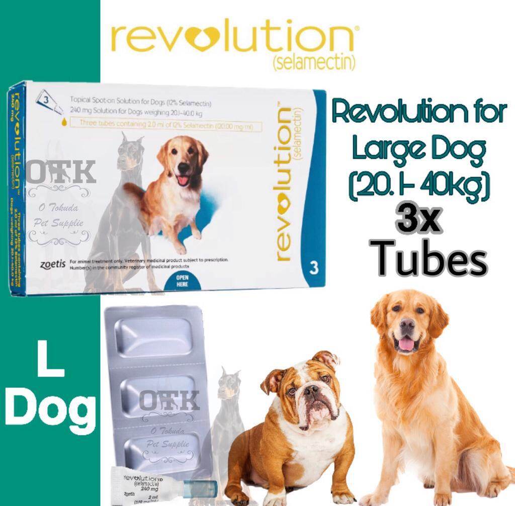 large dog revolution