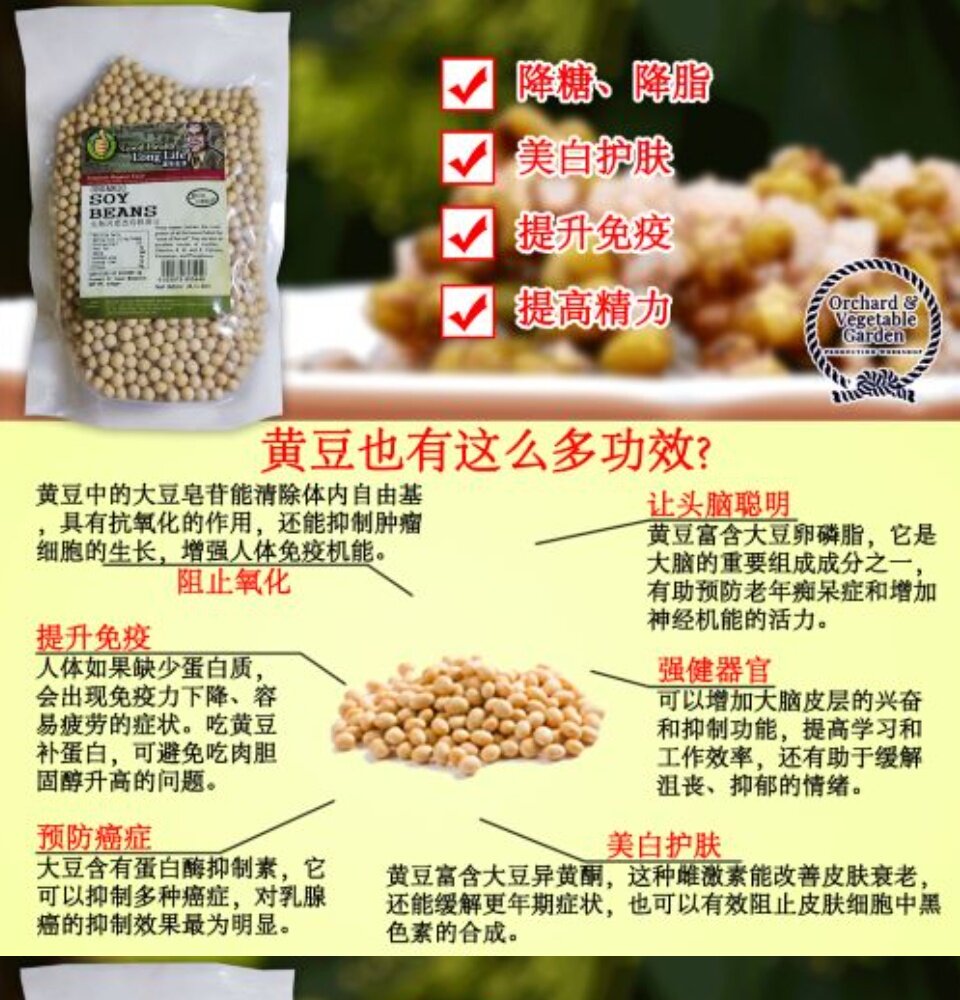 70%OFF!】 大豆 黄豆 400g 450g tresil.com.br