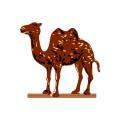 CAMEL International RM12 OFF