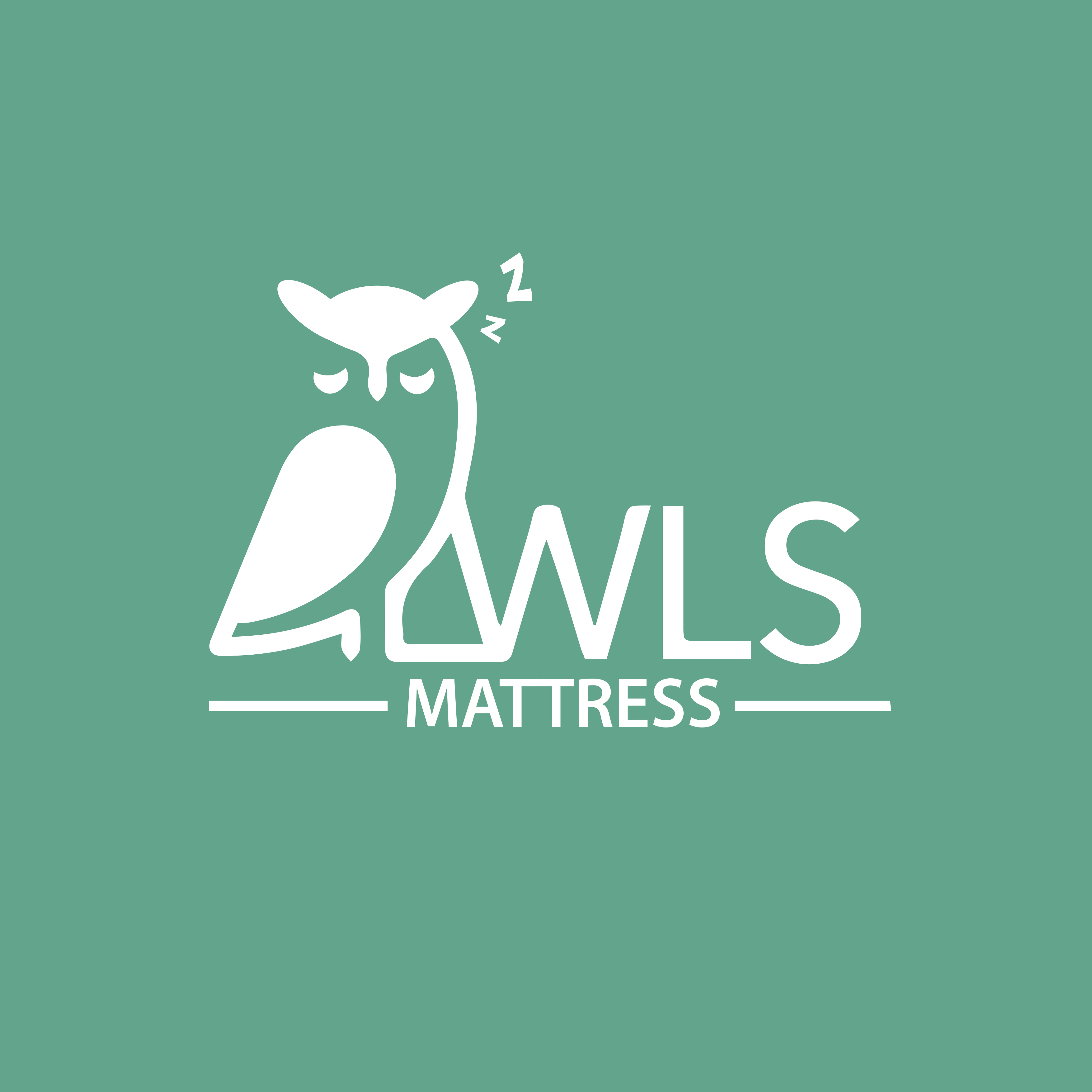 Shop online with OWLS Mattress now! Visit OWLS Mattress on Lazada.
