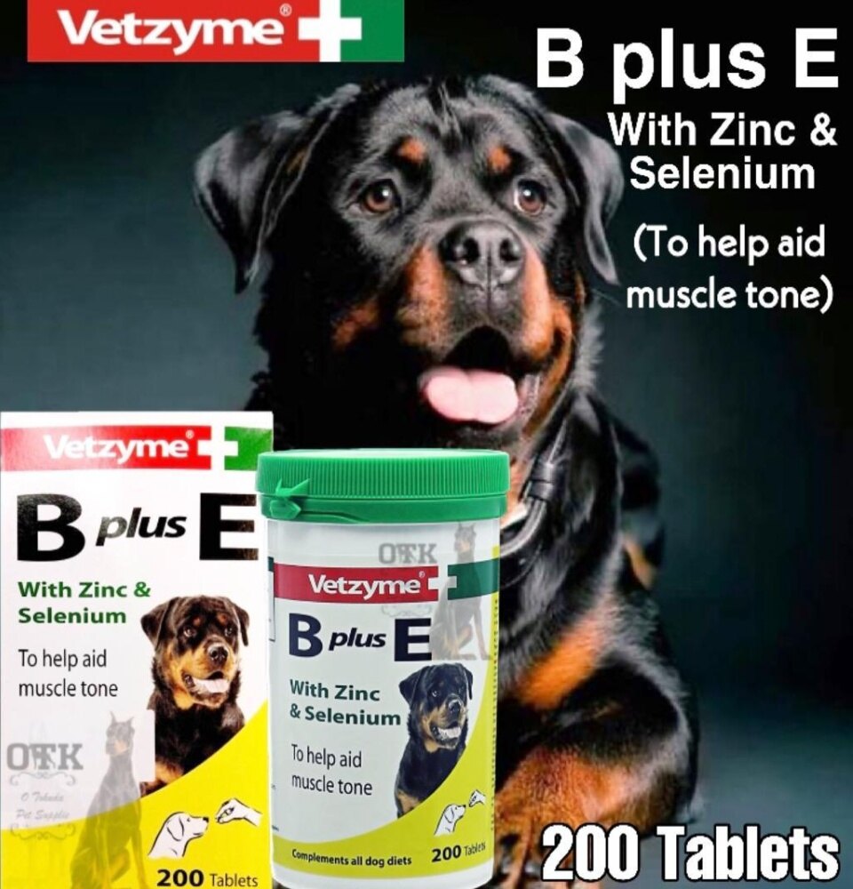 vetzyme b plus e tablets