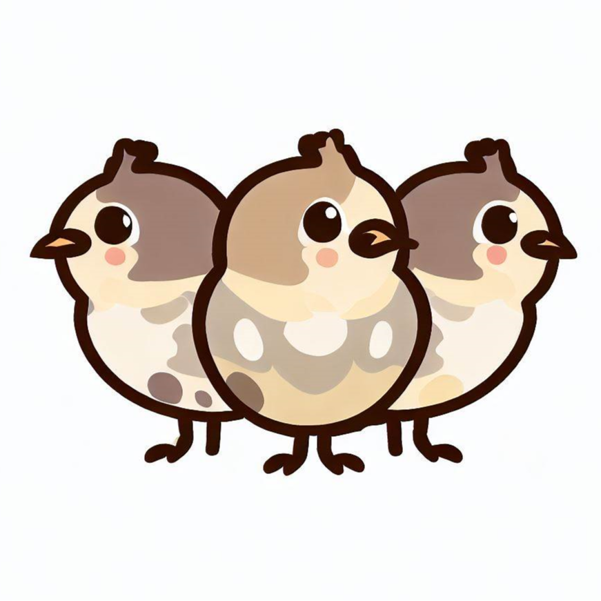 The 3 Quails Malaysia Official Online Store | Shop Now on Lazada
