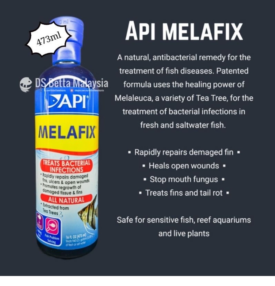 melafix for arowana