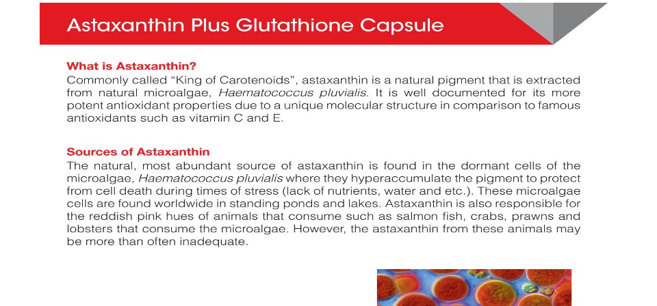 vitamode astaxanthin plus glutathione capsule Supplements 12mg 120 Softgels, Premium Astaxanthin Antioxidant Supplement, Supports Eye, Skin, Joint, Brain, Heart & Immune System Health, Fresh Microalgae Source, Non-GMO & No Gluten : Health & Household Xanthomust Softgel Capsule 10