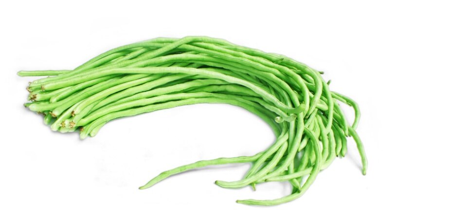 Benih Sayur Vegetable Seeds Kacang Panjang Lazada