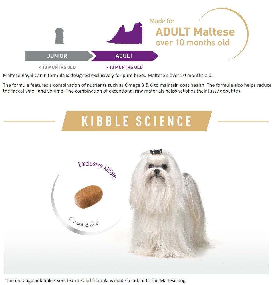 Exceptional Kibble Easiest Extraordinary Kibble