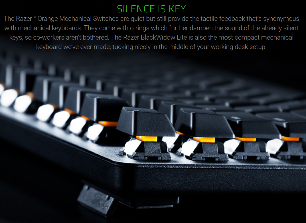 RAZER BLACKWIDOW LITE MERCURY SILENT MECHANICAL KEYBOARD - RZ03 ...